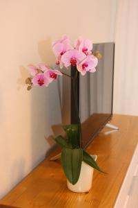 Beautiful Apartment In Apartamerica, Las Americas LA140