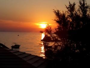 Apartment Primosten Adiomare