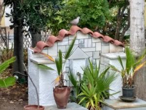 9 Musses Hotel Apartments Lesvos Greece