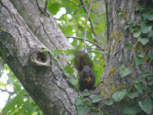 Filoxenia Pelion Greece