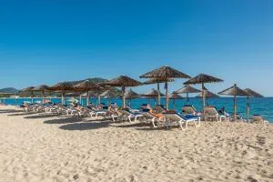 Toroni Blue - Toroni