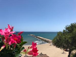 Villa Montserrat 1, Terrace & Pool