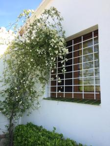 Villa Montserrat 1, Terrace & Pool