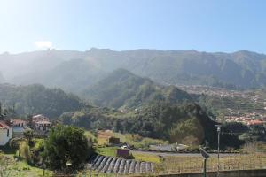 Dinis Country Apartment by OurMadeira