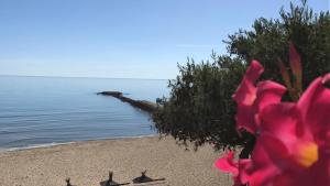 Villa Casita, New!!! Pool & Terrace