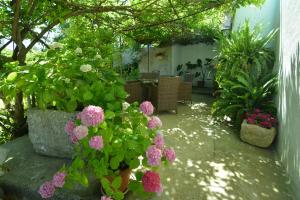 Apartment Renata 