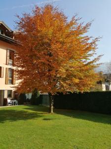 Apartman Appartamento I Ginepri - Pinzolo Pinzolo Olaszorsz&aacute;g