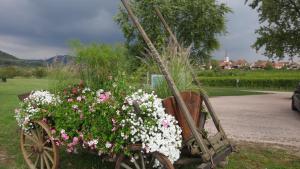 Maisons de vacances Gite Le Petit Moulin : photos des chambres