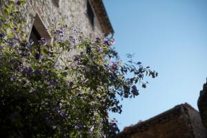 Maisons d'hotes Carpe Diem : photos des chambres