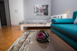 Apartment Barnjak - Novi Zagreb 