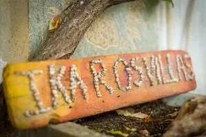 Crete Essence Villas - Makrygialos - Makrý Jalós