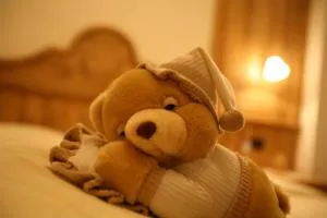 加尼普拉菲奥里酒店 - 坎皮泰洛