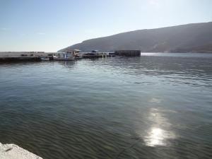 Watching the Sea Andros Greece