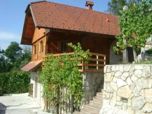 Vineyard cottage Zidanca med vinogradi - Šmarjeta