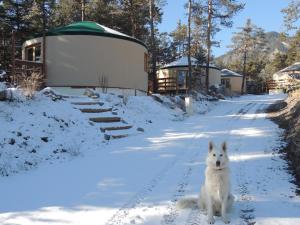 Hotel Parc Résidentiel de Loisir : Le Loup Blanc du Riou Barcelonnette Frankreich