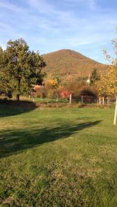 Mézesfészer apartman