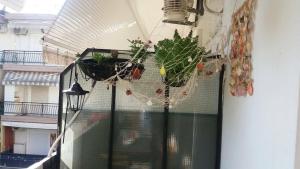 Apartment Sakis Halkidiki Greece