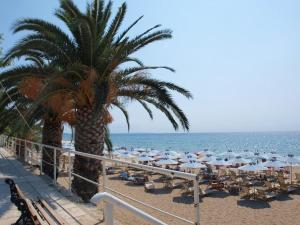 Apartment Sakis Halkidiki Greece