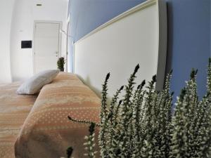 i vicini della cattedrale