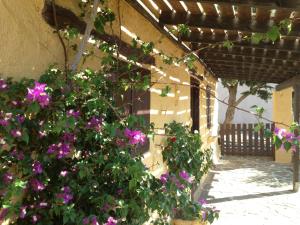 Koutsounari Traditional Cottages Lasithi Greece