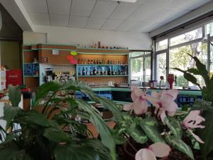 Villaggio Accademia