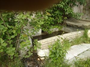 B&B / Chambres d'hotes Chateau du Terrail : photos des chambres