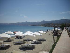 Anna in front of the sea Apartment Lasithi Greece