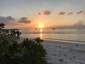 Sun Shine View