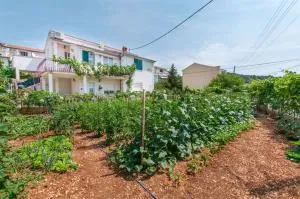 Apartments Mala Dalmacija - 波尔吉察