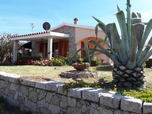 Superior Apartment room in Sardinia Beach Apartments
