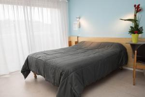 Hotels Hotel Bains Sarrailh : photos des chambres