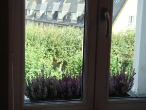 B&B / Chambres d'hotes B&B Maison Angelus : photos des chambres