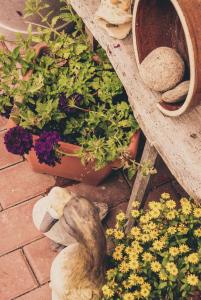 Apartmány Novákovi U NOVAČKY