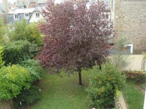 B&B / Chambres d'hotes B&B Maison Angelus : photos des chambres