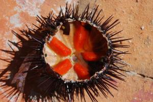 Il riposo dei Giganti img21