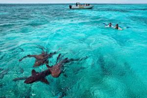 San Pedro, Belize.