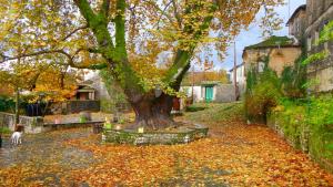 Dilofo Hotel Epirus Greece