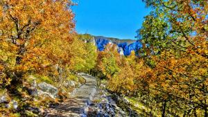 Dilofo Hotel Zagori Greece