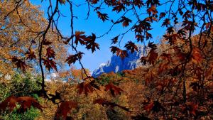 Dilofo Hotel Zagori Greece