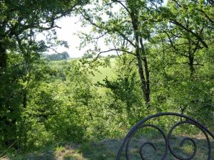 B&B / Chambres d'hotes Cabane-hobbit de Samsaget : photos des chambres