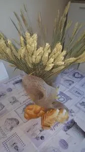 面包坊之公寓 - 钱皮诺