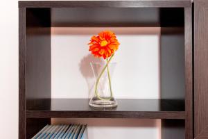 Apartamento Ventura Rodriguez 39