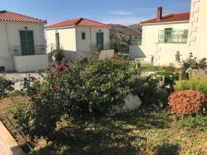 Ampeloessa Village Limnos Greece