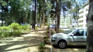 Departamento Bosques del Tabo - 埃尔塔波