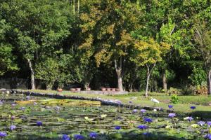 Country Living Home Stay