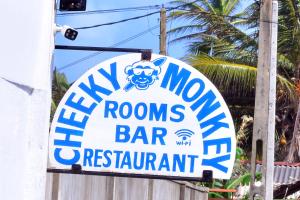 Cheeky Monkey Surf Camp