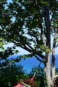 Isabel Artemis Pelion Greece