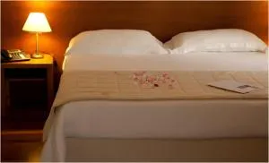 Hotel Tiziano - Пачеко