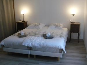 3 stern ferienhaus Appartement Strasbourg Jacuzzi Parking Gratuit Straßburg Frankreich