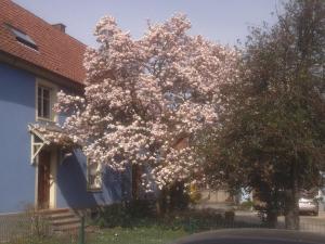 Maisons de vacances Maison des ecluses Strasbourg F3 90m2 Jacuzzi Climatisation : photos des chambres